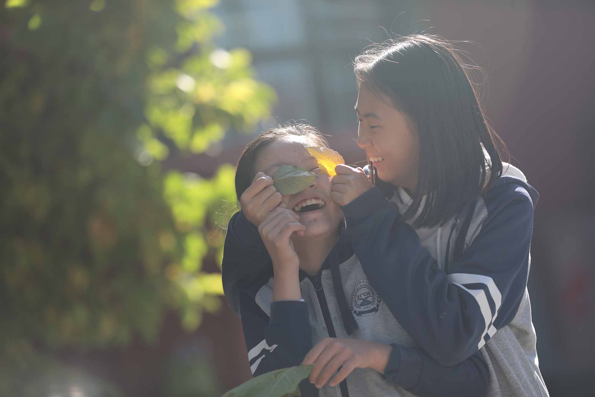 15校园四季-秋.jpg