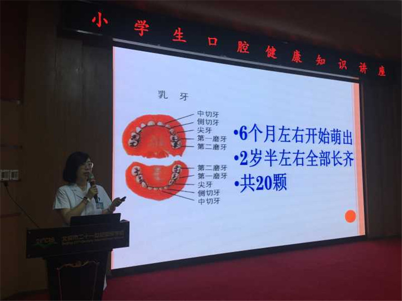 图3 牙齿的构造.JPG